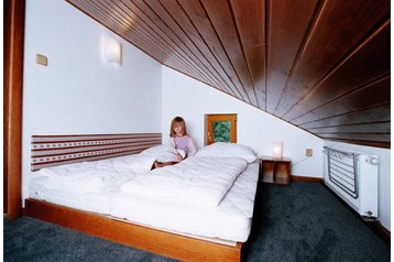 Австрия Privát Leogang, Экстерьер